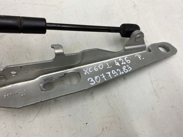 031a9db741ab9354399f88124a13