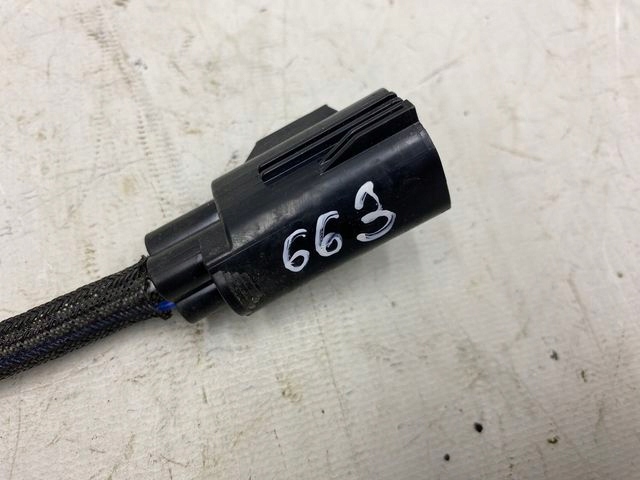 000f5fe541b09afe5565d9715125